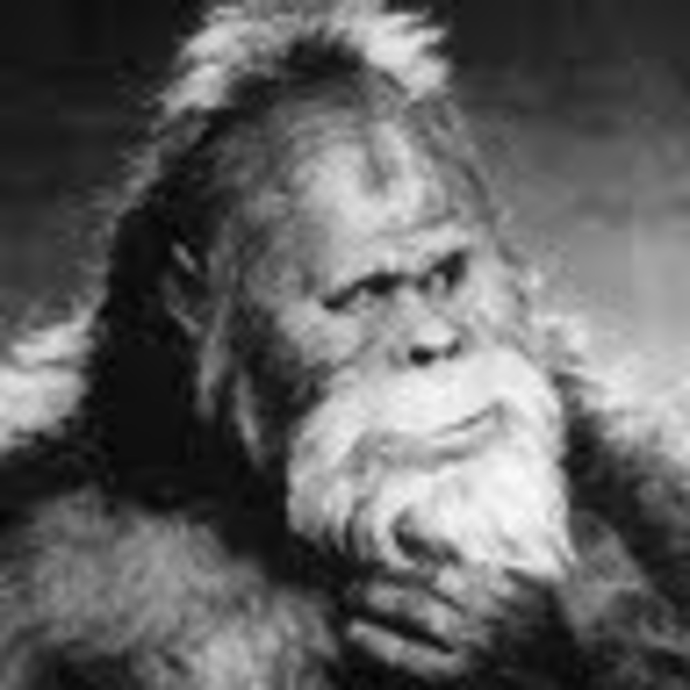 Meet your Posher, Greg